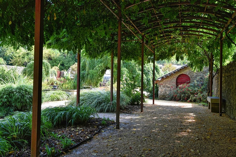 Arbor with Climbing Plants