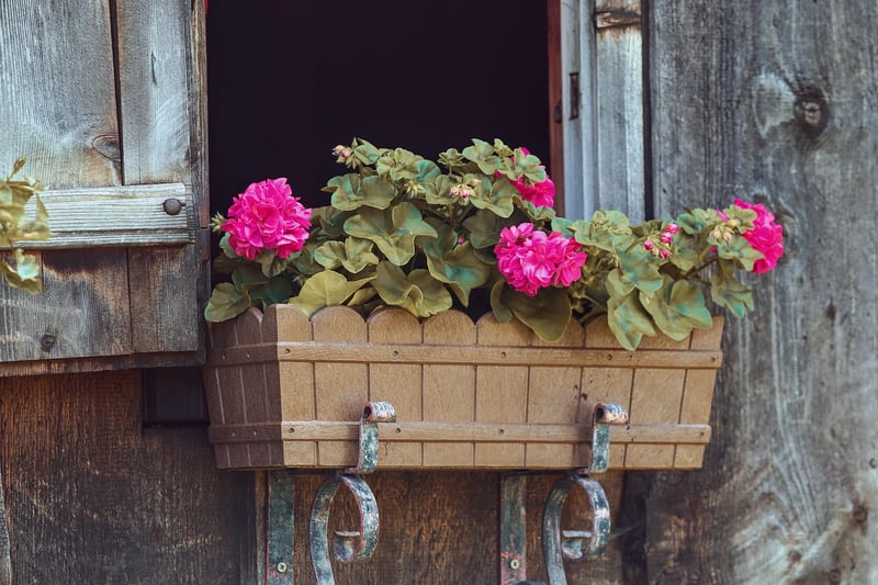 Window Box